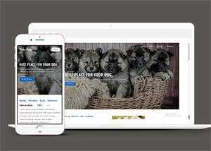 关于宠物狗销售网站模板下载 - 项目资源网