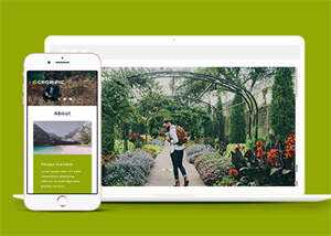 宽屏风景图片拍摄网站模板下载 - 项目资源网