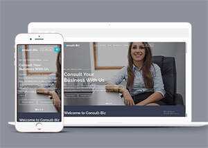 简洁专业投资顾问网站模板下载 - 项目资源网
