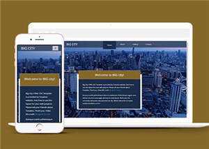 宽屏都市切换介绍响应式网页模板下载 - 项目资源网