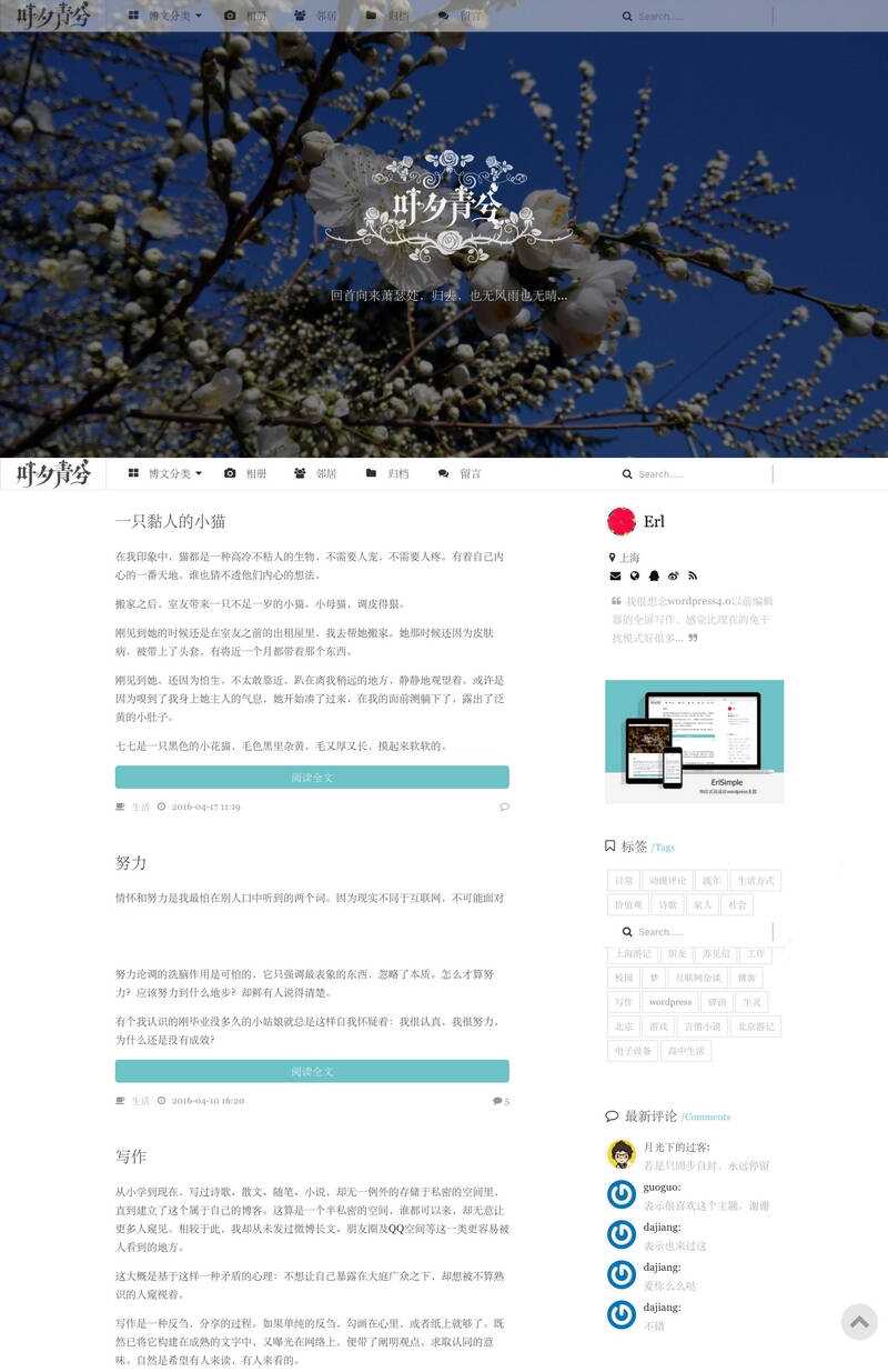 wordpress极简优秀的博客主题–ErlSimpleV1.5主题 - 项目资源网