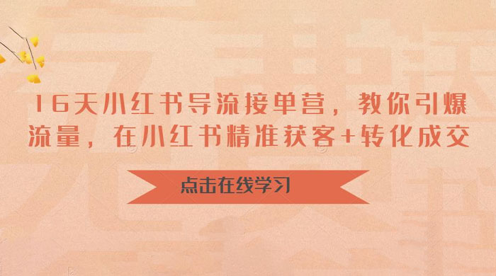 16 天小红书导流接单营：教你引爆流量，在小红书精准获客+转化成交 - 项目资源网